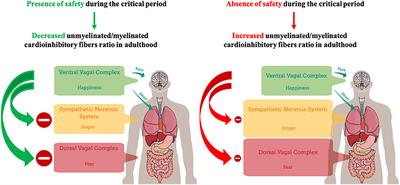 A critical period for experience-dependent development of the feelings of safety during early infancy: A polyvagal perspective on anger and psychometric tools to assess perceived safety